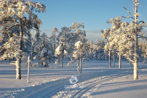 Zimowe szlaki Szwecji na biegówkach