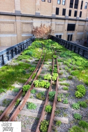 High Line – raj na ziemi czy dżungla w sercu miasta??