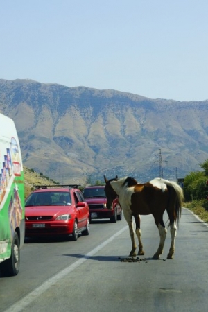 Bałkany 2014. Część 12 – Libohove, Gjirokastra i Farma Sotira