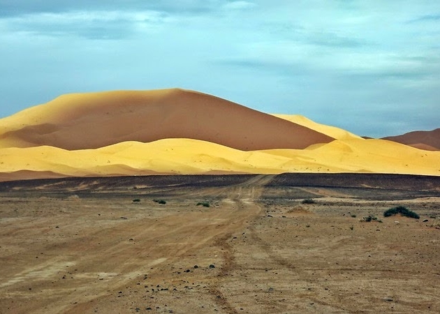 The Shades of Sand. One Day in the Sahara Desert in Photos