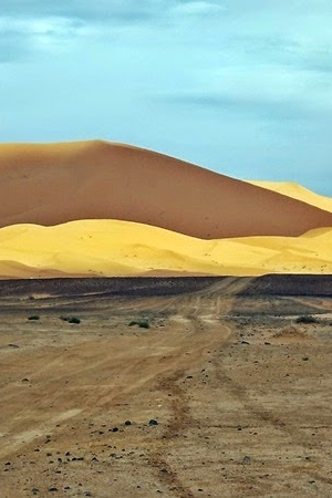 The Shades of Sand. One Day in the Sahara Desert in Photos