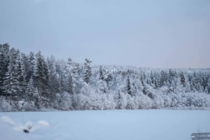 Norwegian winter ;)
