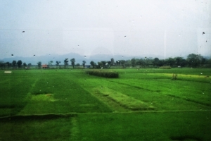 Kolejami indonezyjskimi wzdłuż zielonej Jawy