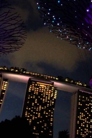 Niesamowity spektakl „światło i dźwięk” w singapurskim Gardens by the bay