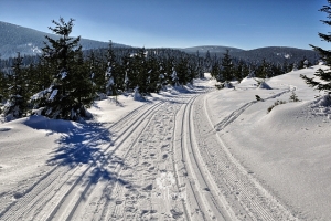 Przez Góry Bialskie i Masyw Śnieżnika na biegówkach