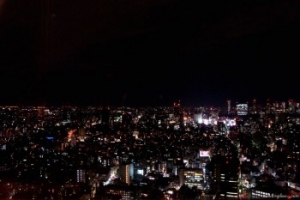 Uciekłam z delegacji cz.2 – Tokio nocą