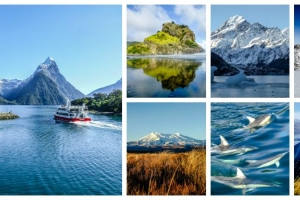 10 miejsc Nowej Zelandii, które zdecydowanie warto zobaczyć