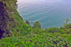 The Batumi Green Cape