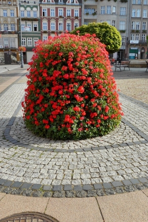 Migawki z Wałbrzycha