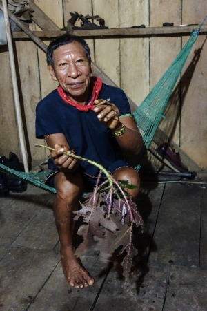 Indianie Kofan z Okolic Dureno. Spotkanie z Tradycyjną Medycyna Amazonii: Ayahuascą