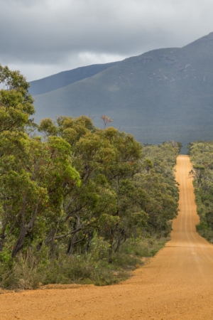 Australijskie drogi są… niepoliczalne!