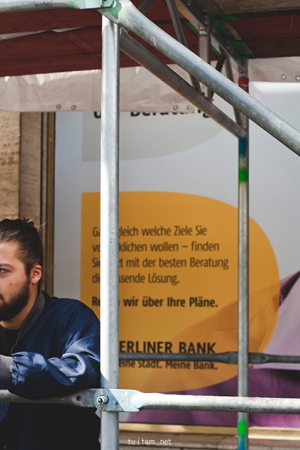 Berlin | Człowiek na budce i kot we wrzosach