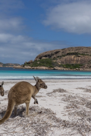 7 najpiękniejszych miejsc w Australii Zachodniej – fotogaleria