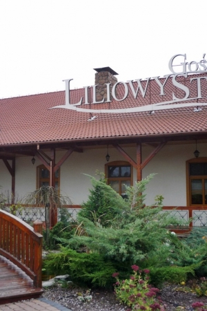 Gościniec Liliowy Staw