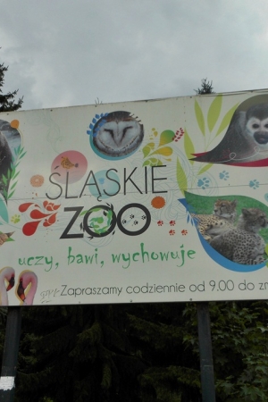 Śląski Ogród Zoologiczny w Katowicach