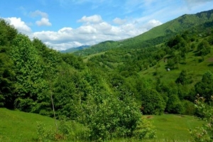 Zielono mi, czyli malowniczym szlakiem przez Połoninę Krasną, z Kołaczawy na Topas