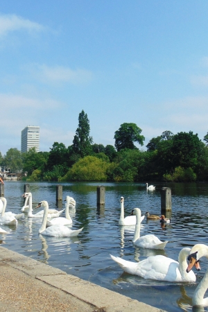 Hyde Park w Londynie