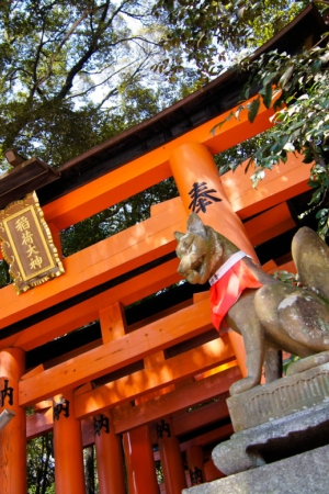 Kitsune, czyli legendarne stworzenia Japonii