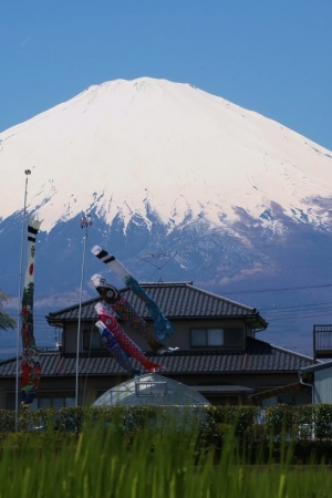 Szanowna góra Fuji