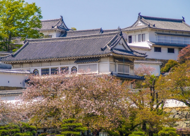 Dlaczego warto zobaczyć zamek Himeji?