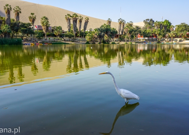 Huacachina – pustynna oaza, pustynny kicz